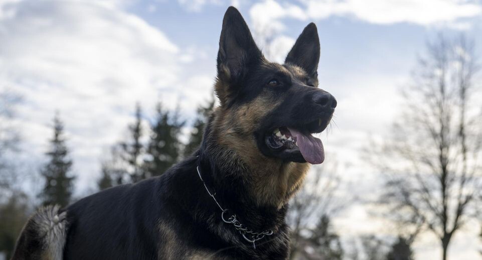    Stefan Puchner/dpa / www.globallookpress.com