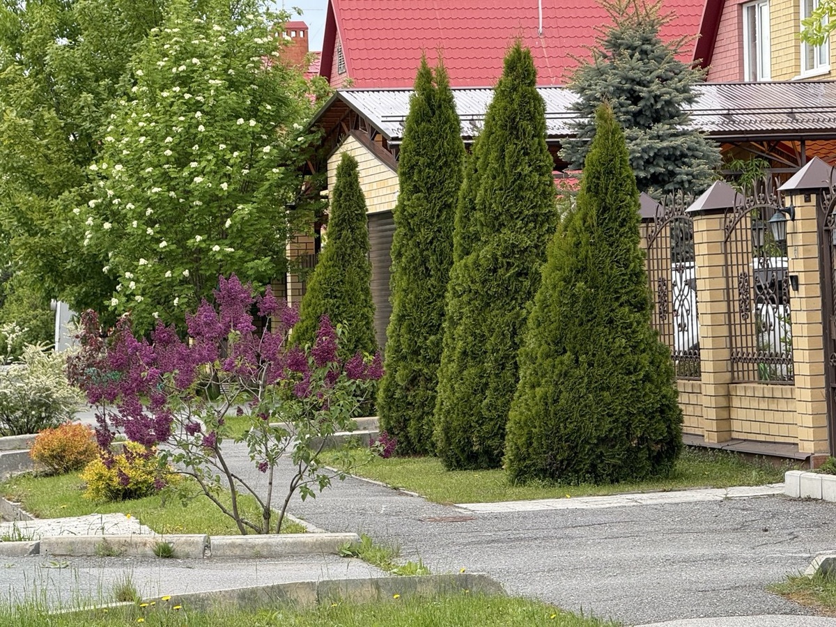 Фото автора канала Дом с кипарисами