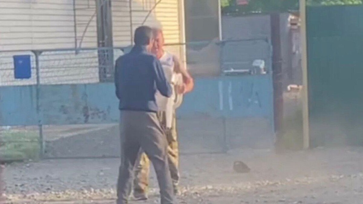    Фото: t.me/mvd_23