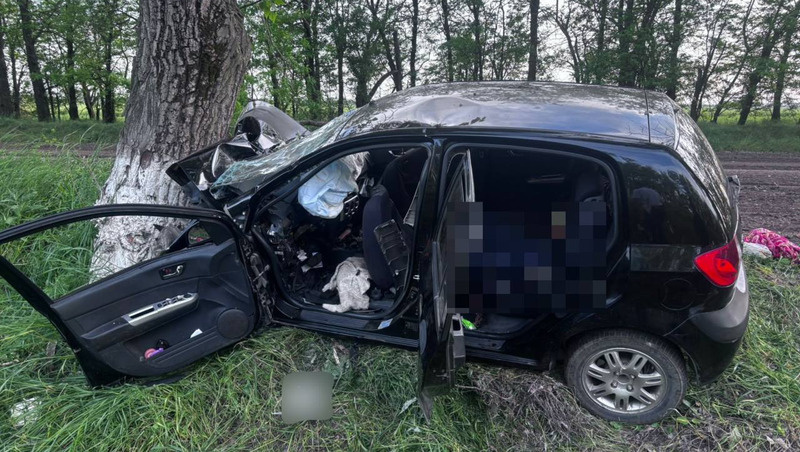      Фото: УГИБДД по Ставрополью