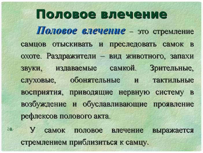 Яндекс.Картинки