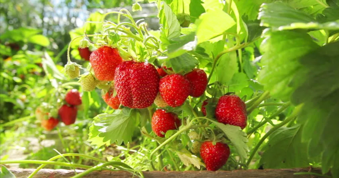 Не нарадуюсь тому какой красивый кадр получился