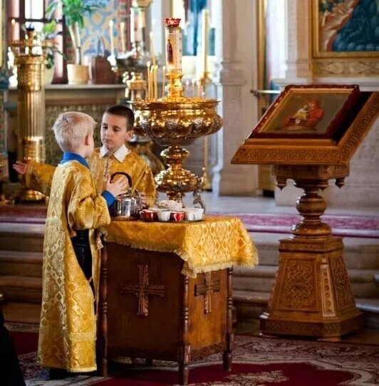 Владыка Феофан видел большую пользу в благочестивых беседах для детей. Источник: https://ok.ru/ona.cerkov/topic/153516734012767