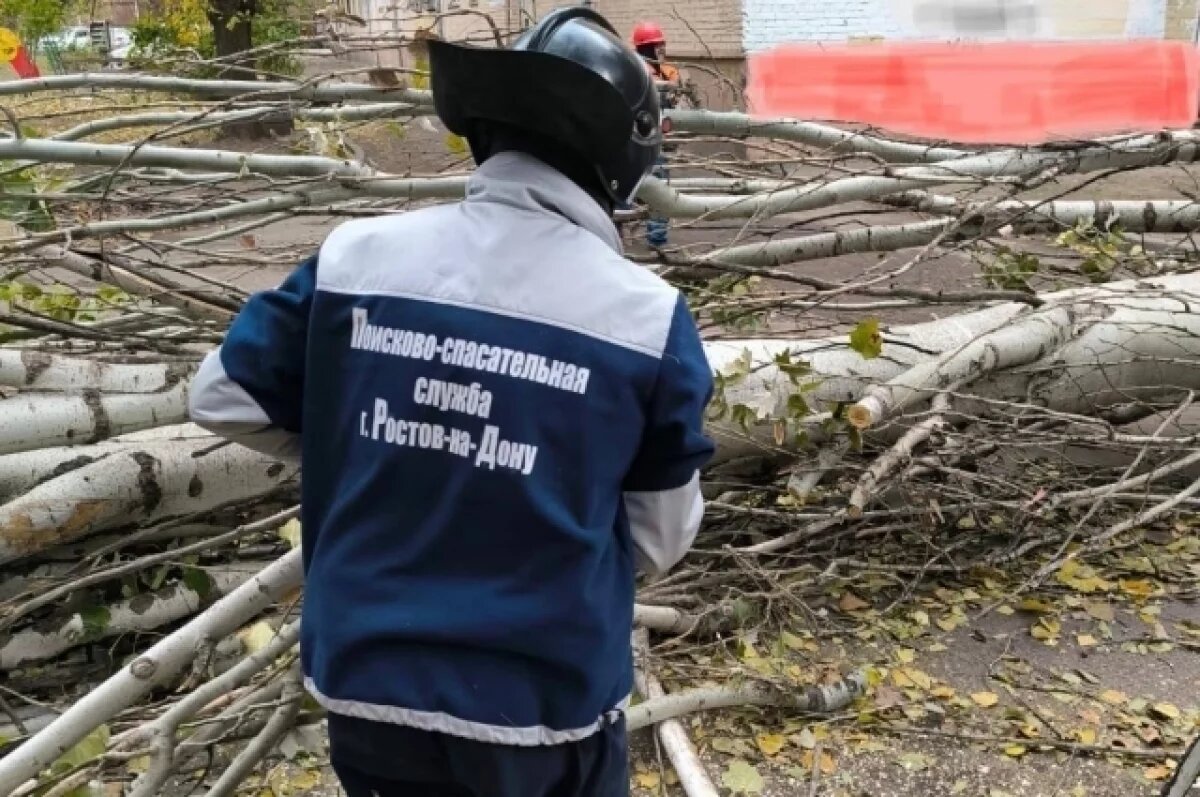    В Ростове 26 мая из-за штормового ветра пострадали две женщины
