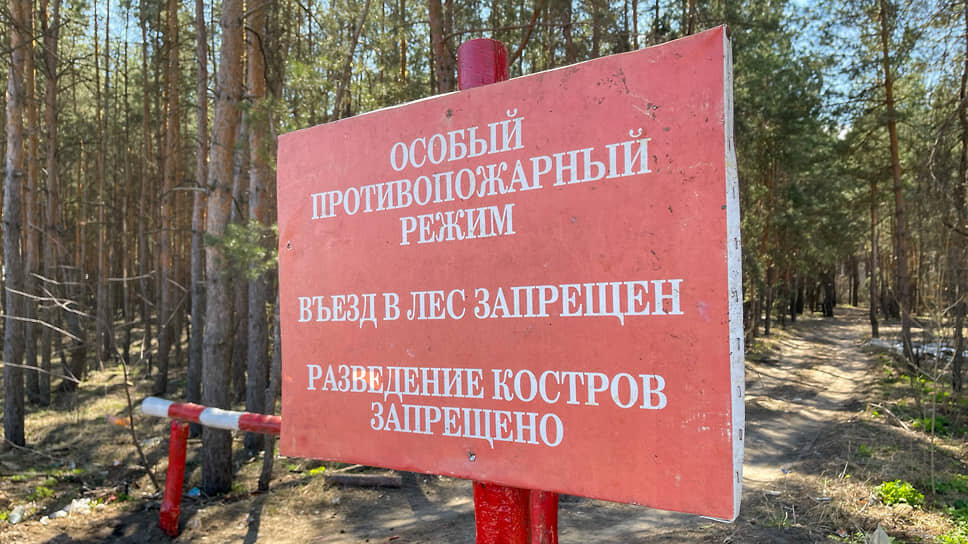 Фото: Олег Харсеев / Коммерсантъ