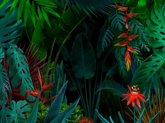 Суеверия про цветок папоротника