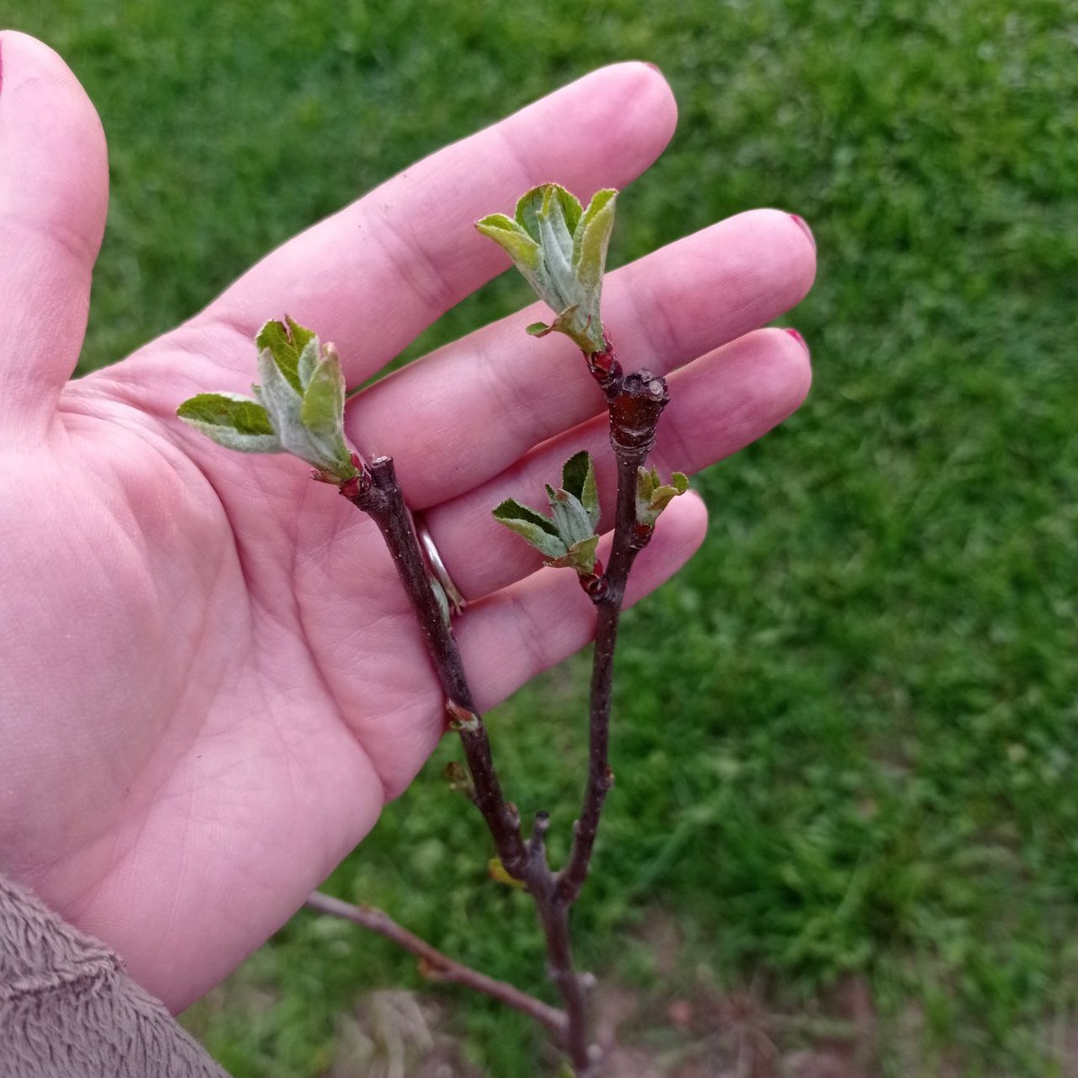 Апрель 2022 г. 