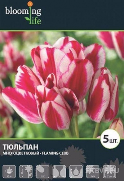 Этикетка продавца