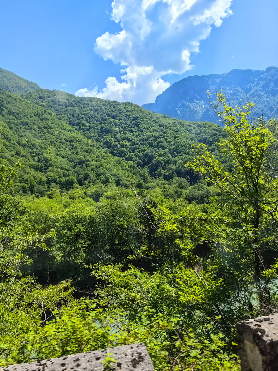 Природа Абхазии