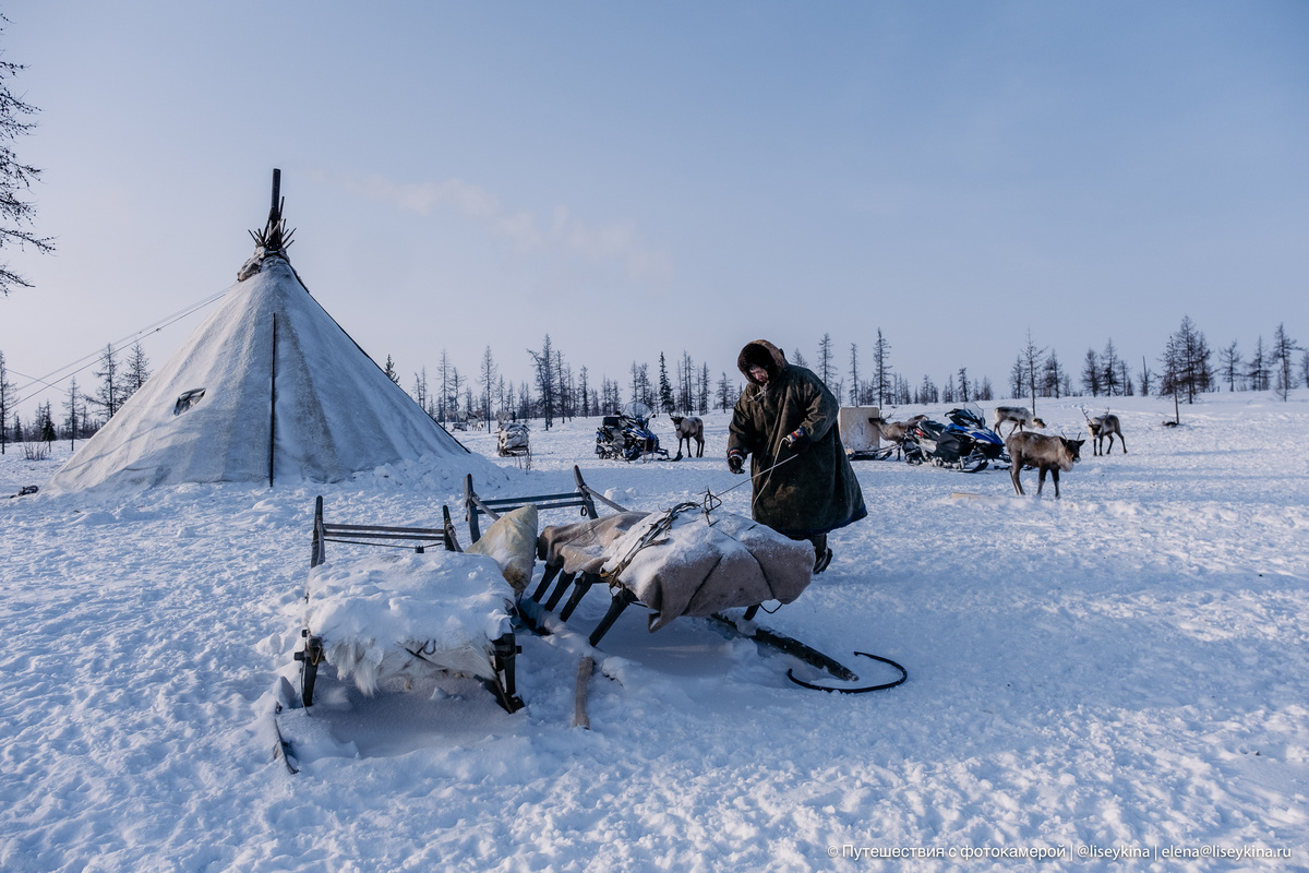 Здесь на нартах никаких родственников. Просто семейные божества, которых тоже возят с собой. Нам даже фигурки показали, но не разрешили фотографировать.