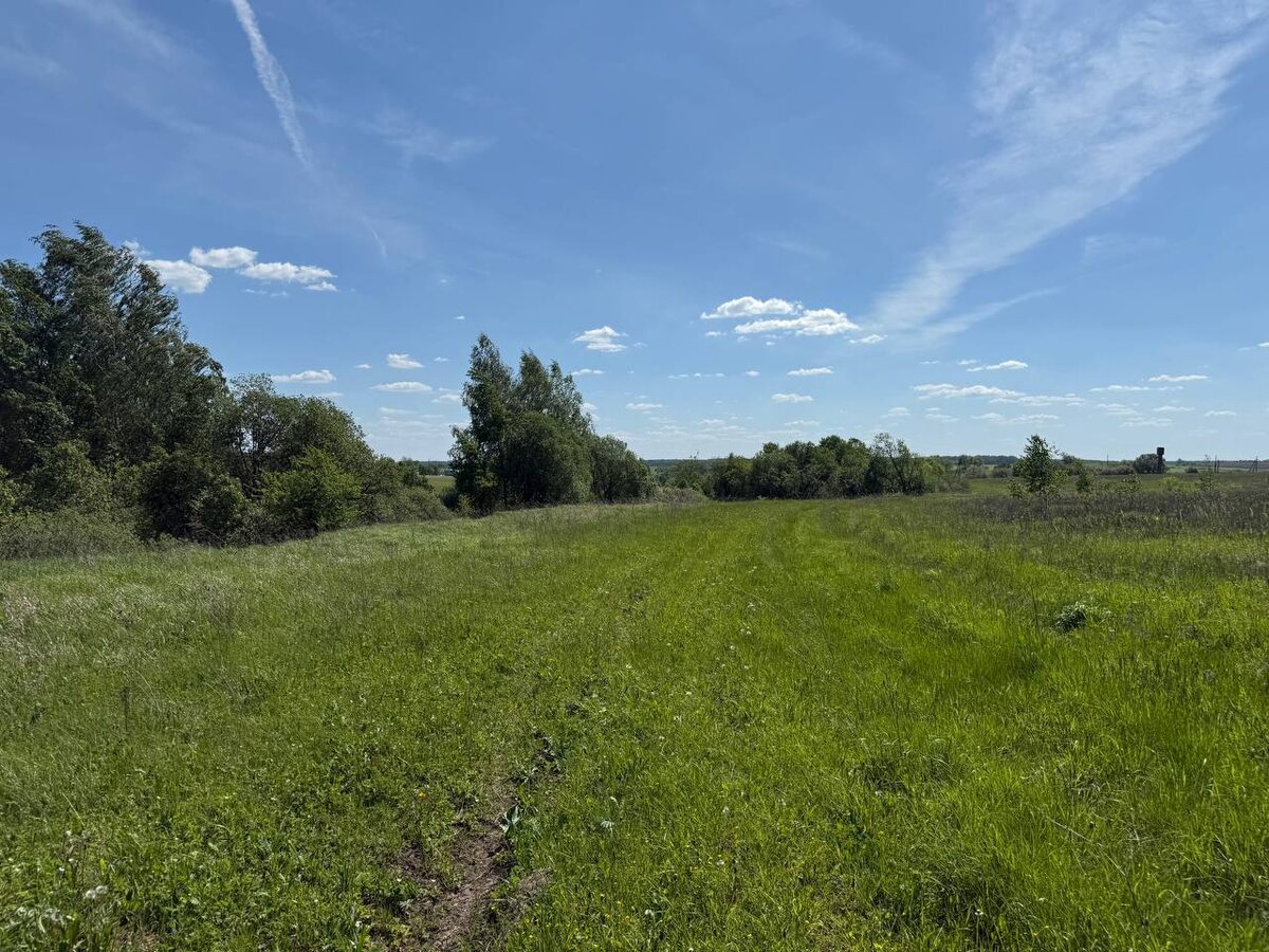 Участок земли в Тульской области, на котором будут строить дачный посёлок "Однаволна". Из личного фотоархива автора.