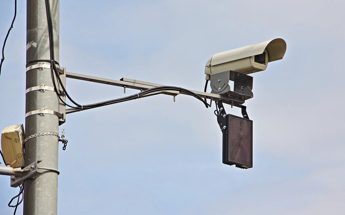 Фото: ilmarinfoto / Shutterstock / FOTODOM