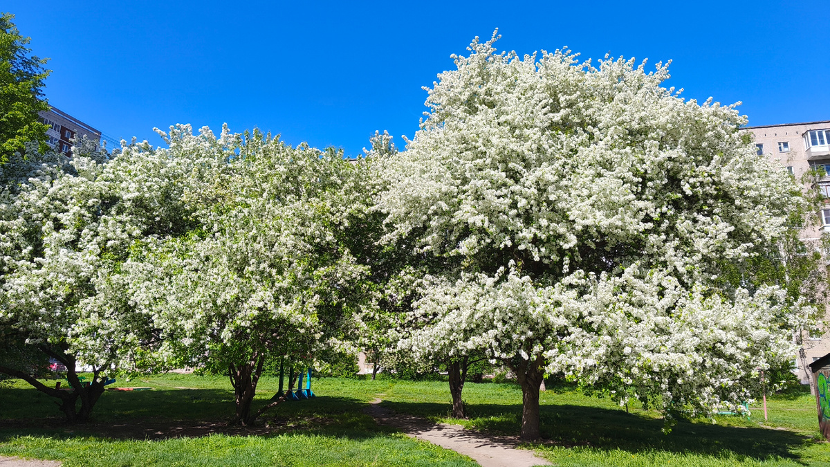 Обычный двор Екатеринбурга.