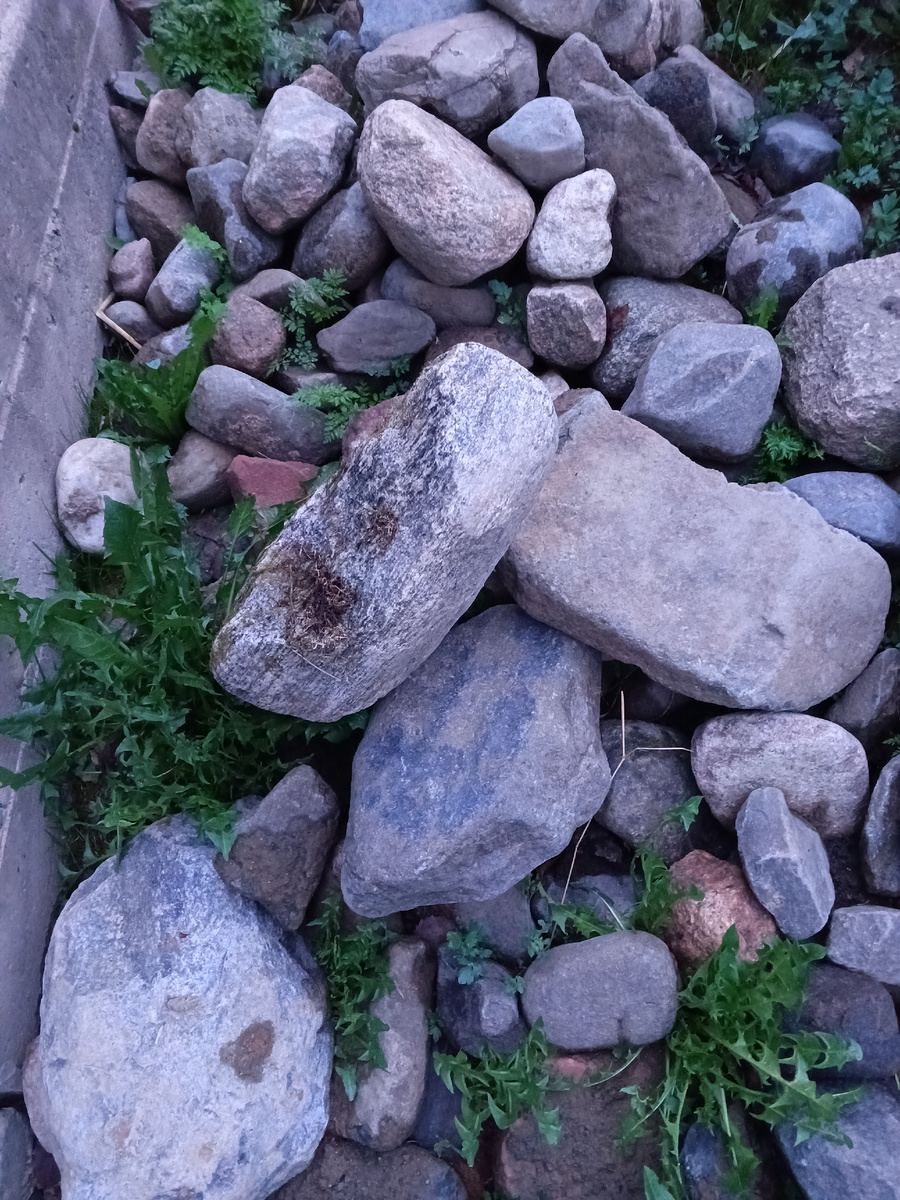 фото автора: камни достала из земли этой весной, пока лежат, в хозяйстве пригодятся, например, для клумб