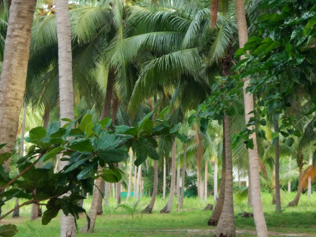 Путешествие по Таиланду начинается.