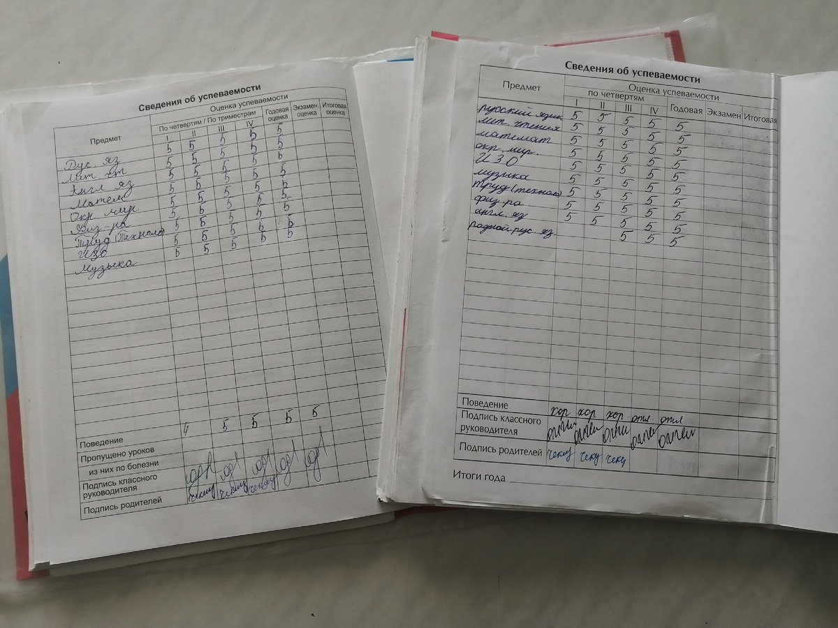 Мои отличники) 