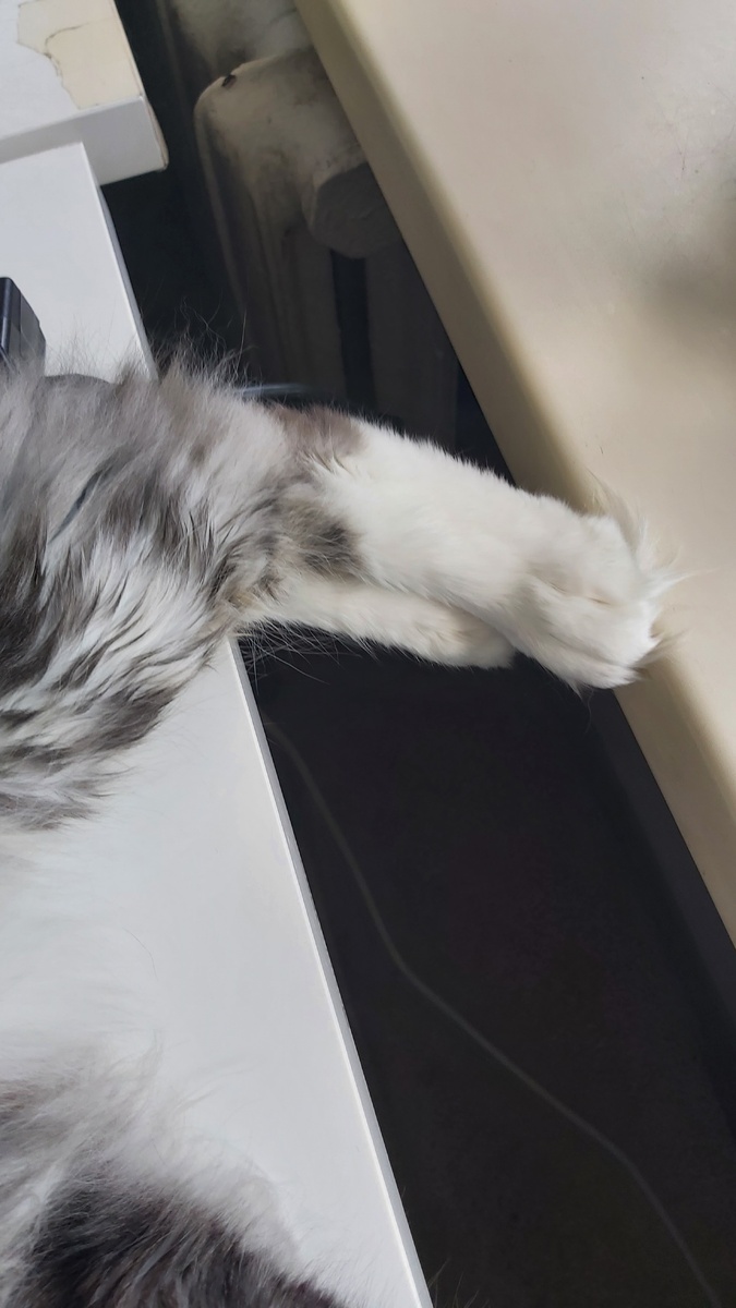 Я как кот, который завис и отдахает).