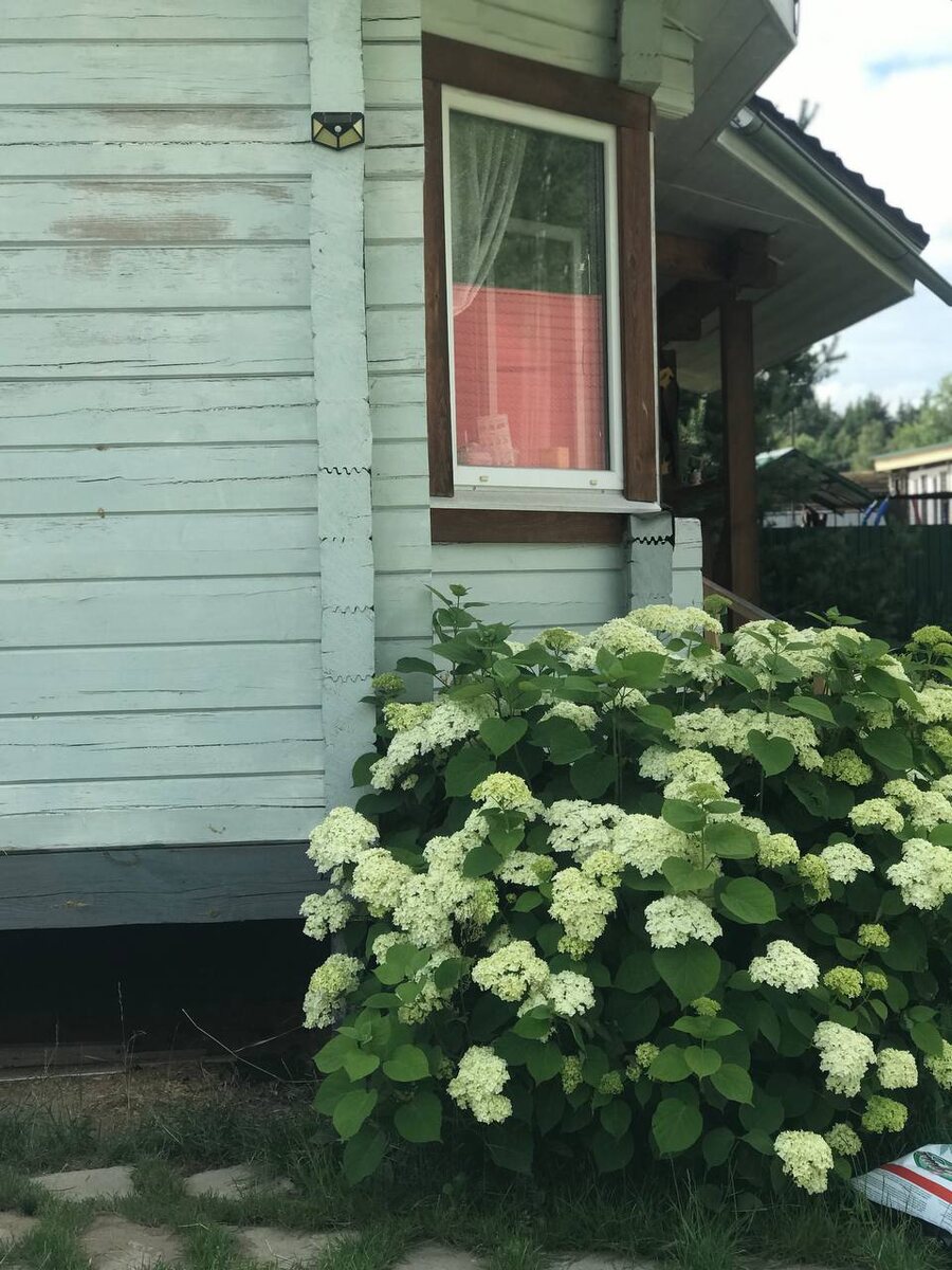 Сделала снимок  и не могла понять, что это красное торчит у меня в окне? Пока соседка не подсказала, что это отражение ее крыши!