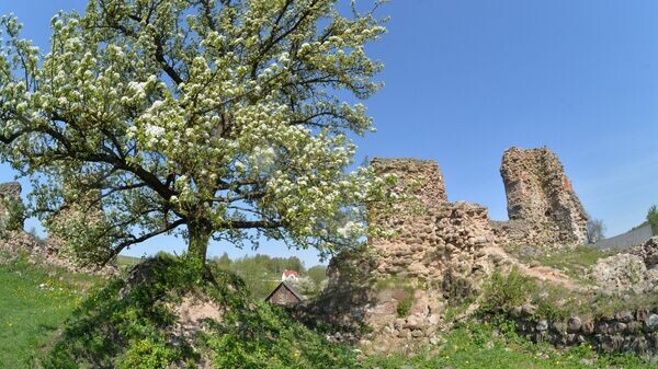    © Sputnik / Виктор Толочко