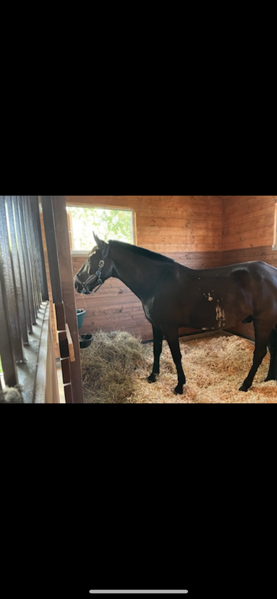 Белые шрамы