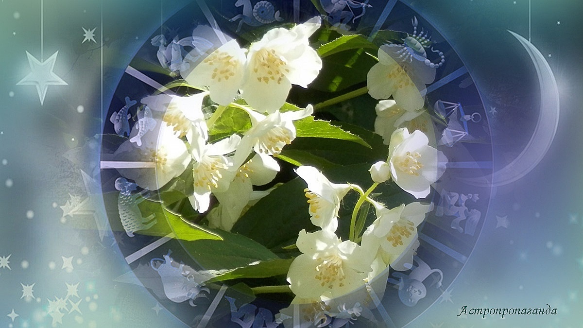 Гороскоп с 26 мая по 1 июня 2025: соединение Меркурия с Солнцем | Недельный гороскоп