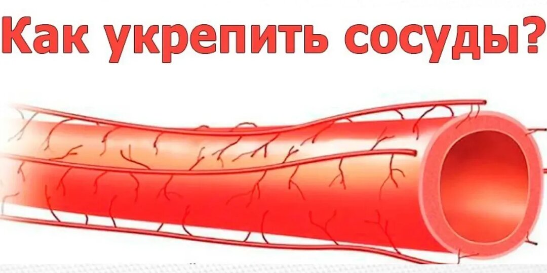 Сосуды как стальные канаты: 7 шагов, чтобы избежать инфаркта и инсультов