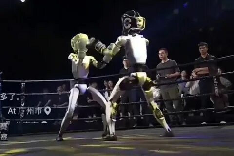 Фотографии взяты из открытых источников