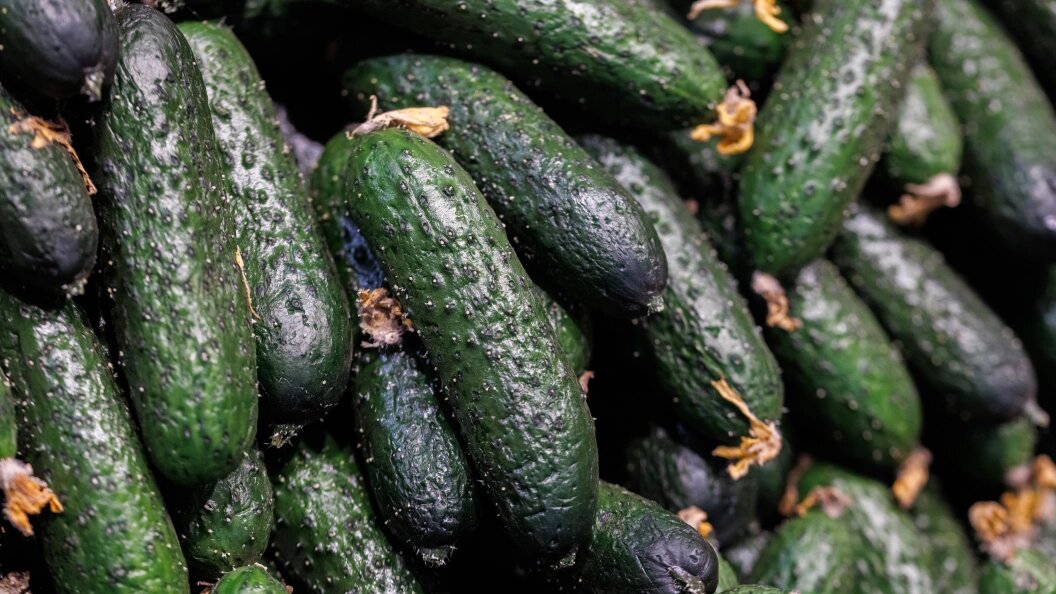    Фото: Sergey Elagin/Globallookpress