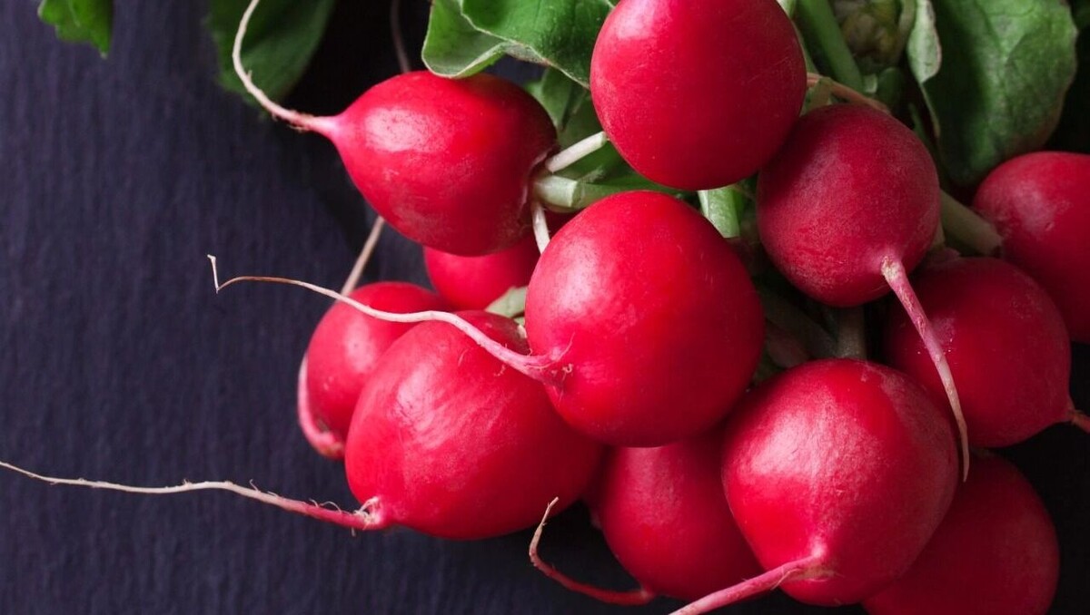     Источник: freepik.com