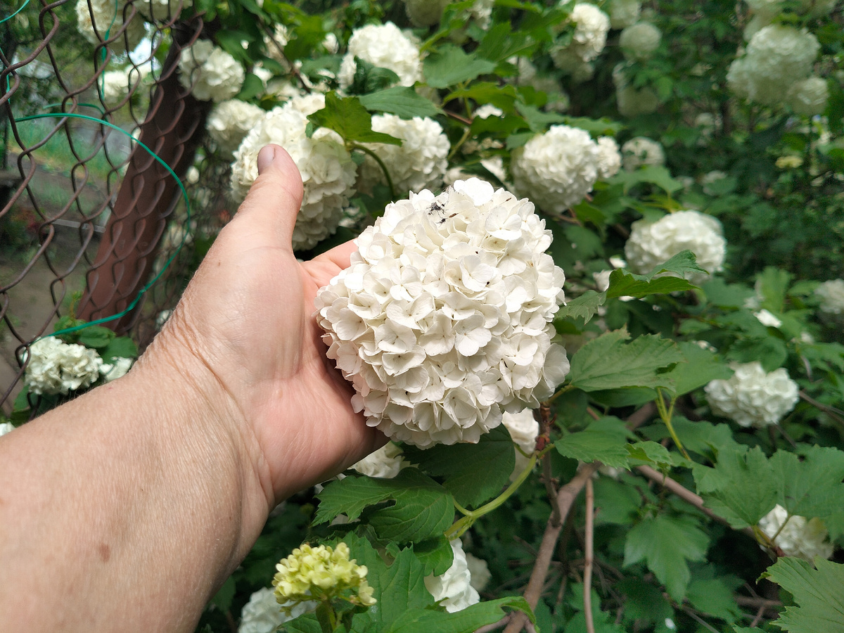 Фото автора