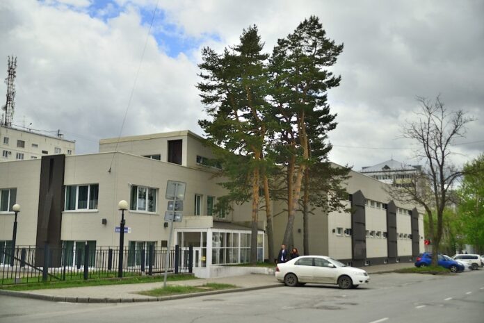 Островок спасения для японских сосен на ул. Карла Маркса.