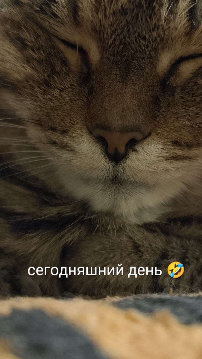 Начнём с того ,что вам нужно будет приобрести швейную машинку, портновские ножницы, сантиметровую ленту 🎗 ,булавки 📍и ткань.