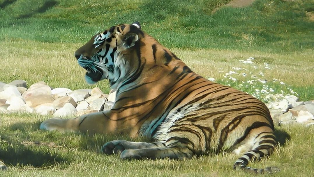     Источник: 1MI