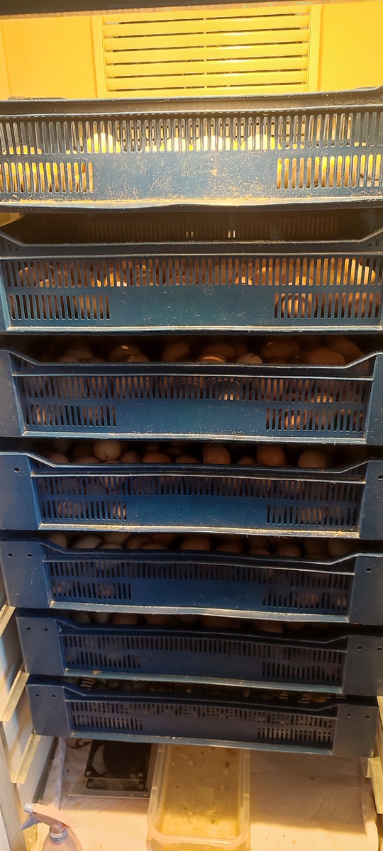 Мой выводной шкаф просто забит под завязку 🤦‍♀️😅