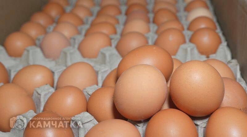 Фото: Яйца камчатской птицефабрики «Пионерское» / ИА «Камчатка»