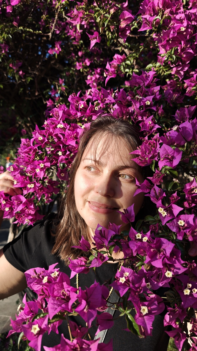Бугенвилия, моя любимая