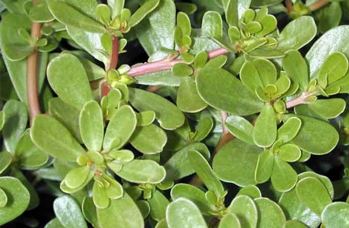 фото: https://heromoney.ru/