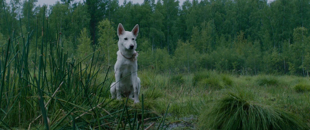 Кадр из фильма «Карина»