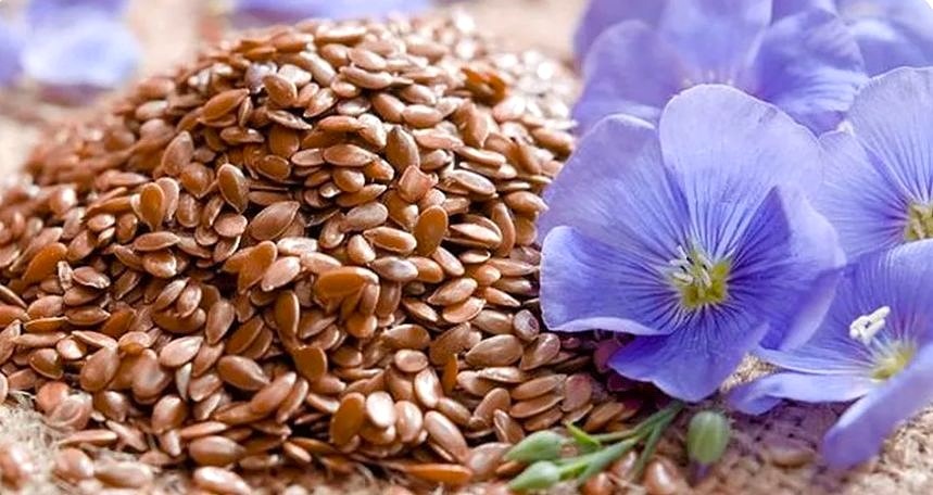 Семена льна.