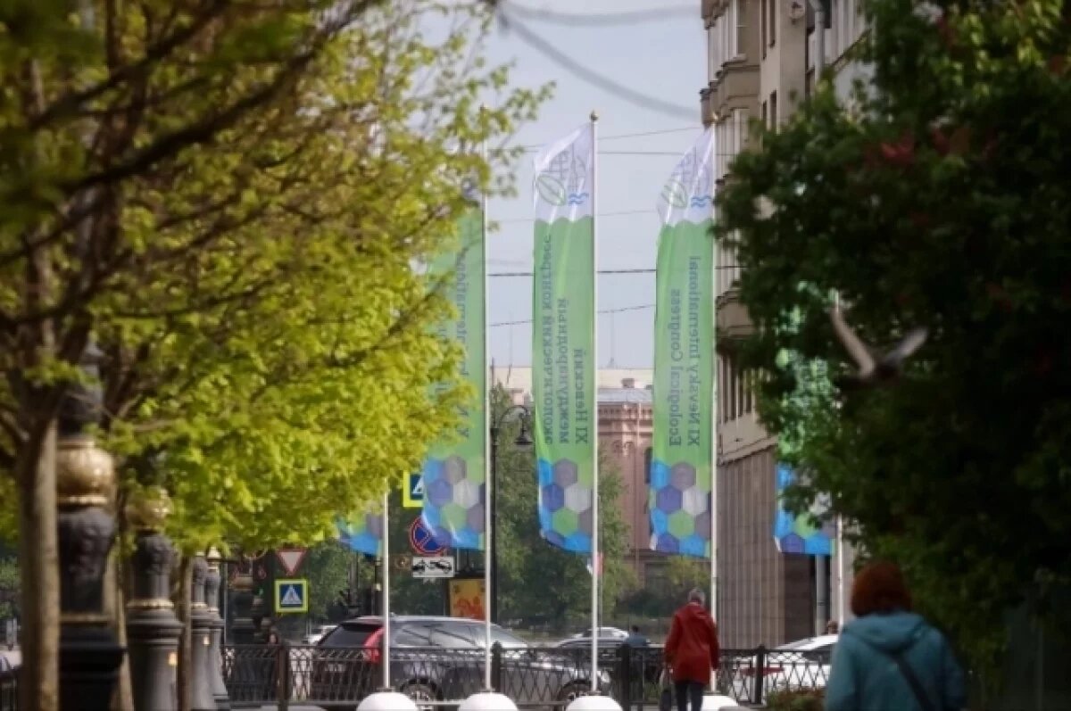    Опыт Красноярска представили на крупнейшем экологическом конгрессе