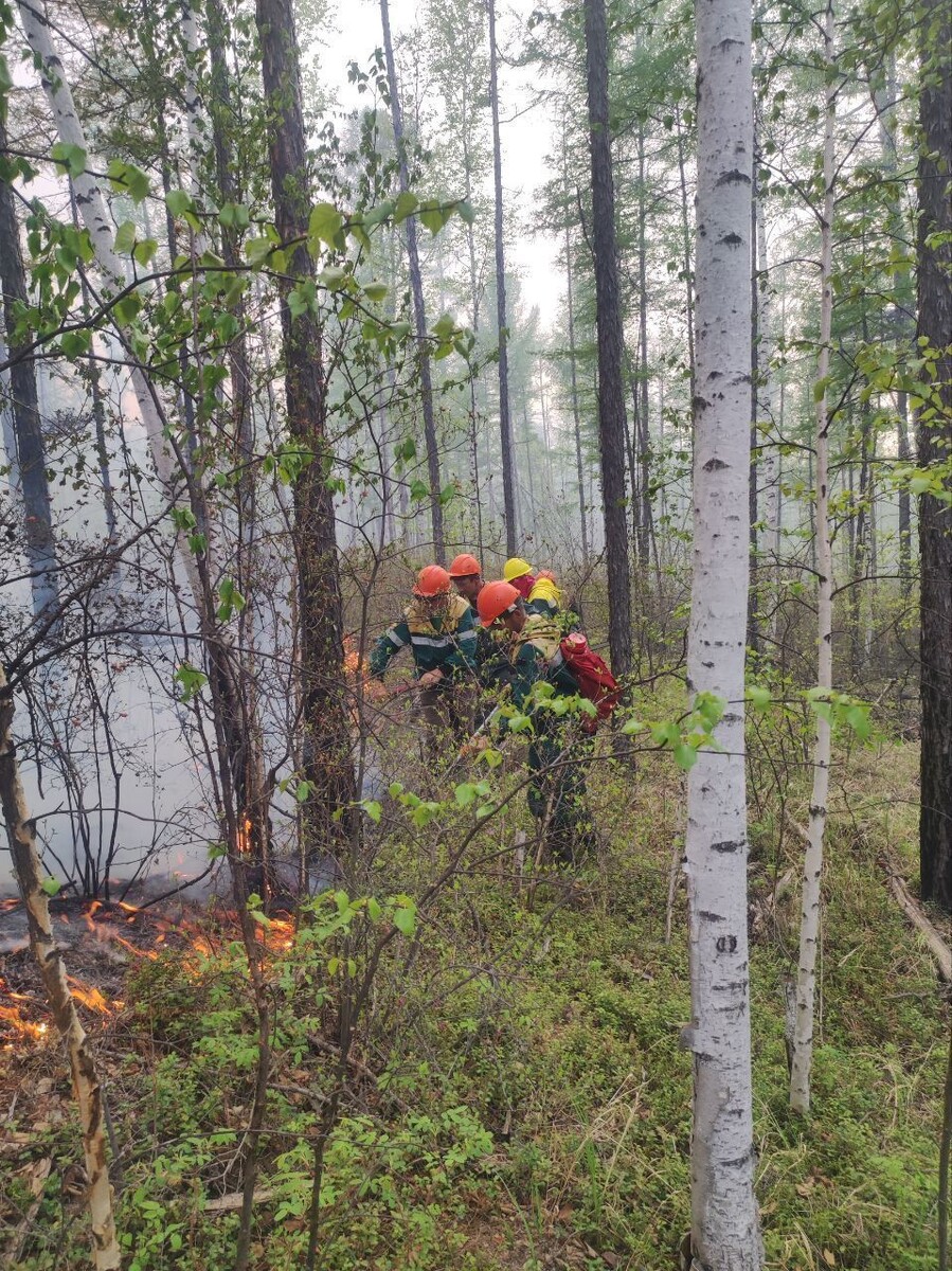    Фото: Пресс-служба Минприроды Забайкалья