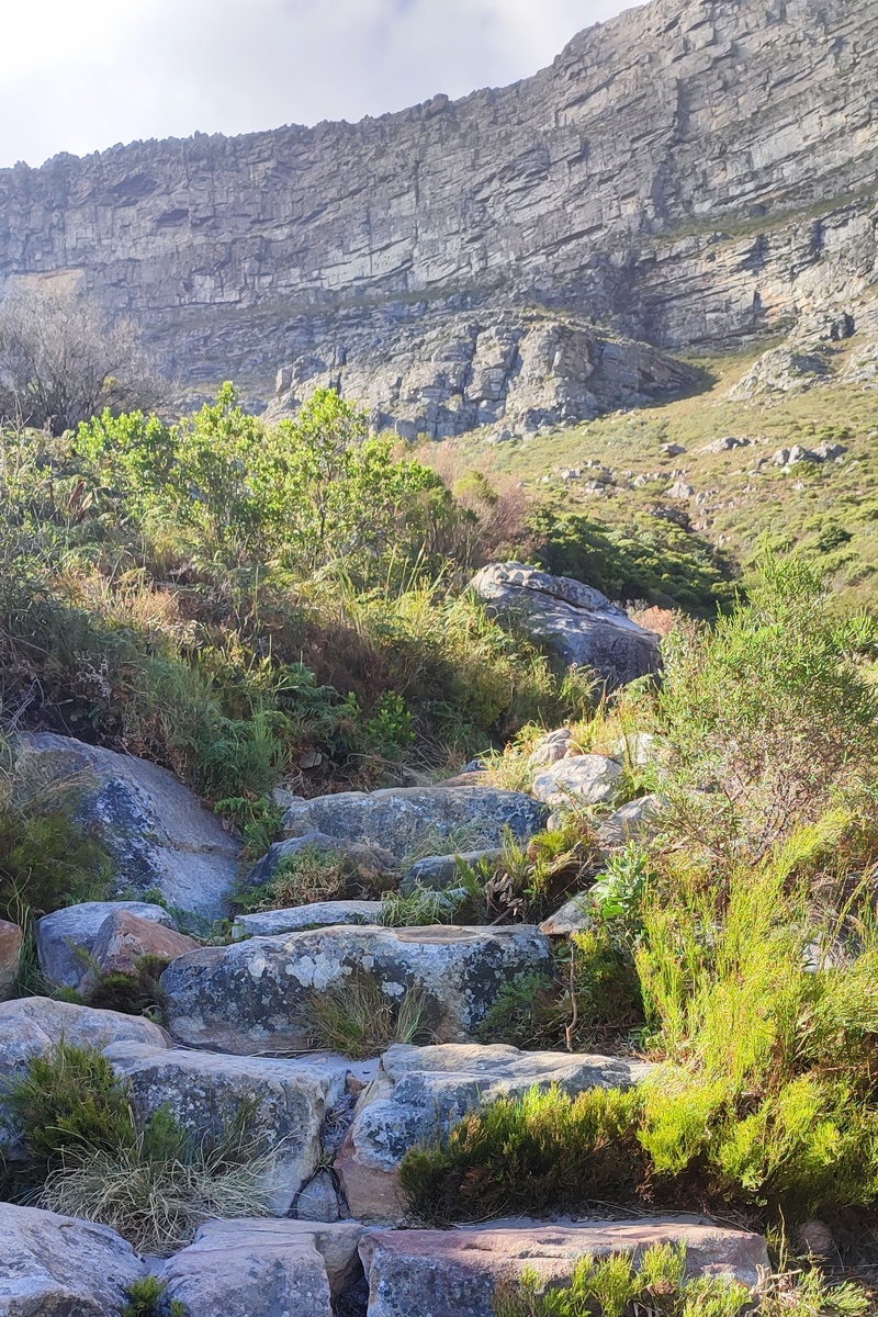 начало тропы Platteklip Gorge