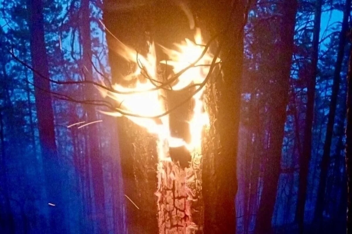    37 лесных пожаров бушует в Бурятии