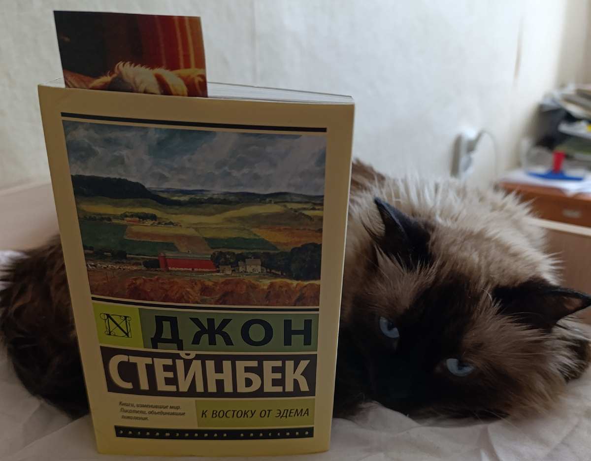 Сегодня "шедевр позднего Стейнбека" в формате pocket book представляет Джесси. 