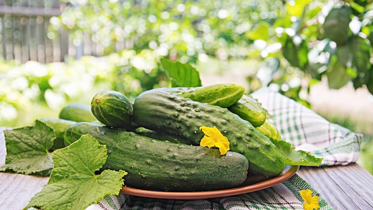    27 мая было принято сажать огурцы. Фото: Freepik