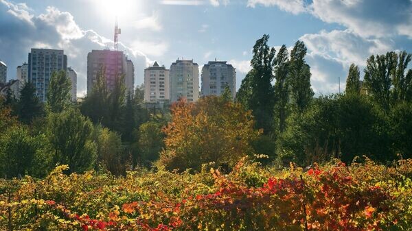    © РИА Новости . Сергей Мальгавко