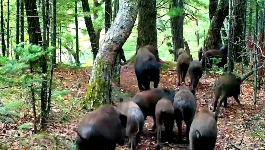    Источник фото: