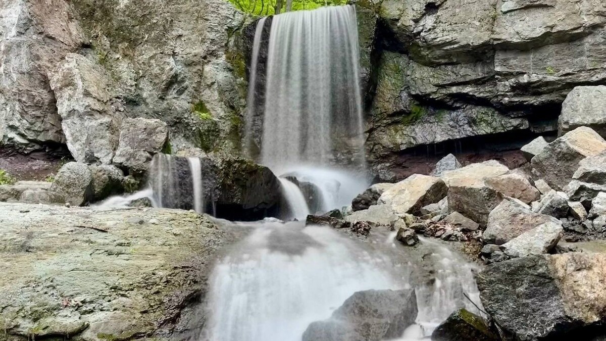     Источник: amurleo_land