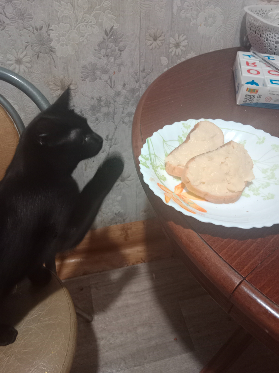 Только положила бутерброды на тарелку, чтобы сфоткать)