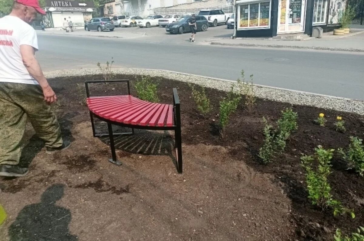    Студенты высадили цветы и кустарники на Журавлева в Чите